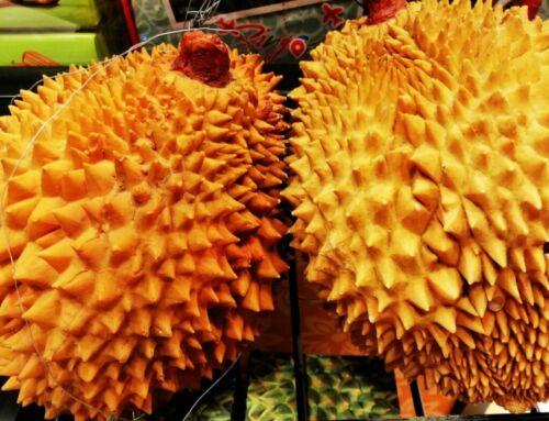 Durian: Il Re dei Frutti tra Mistero e Divieti. Scopri Perché in Thailandia è Bandito dagli Hotel